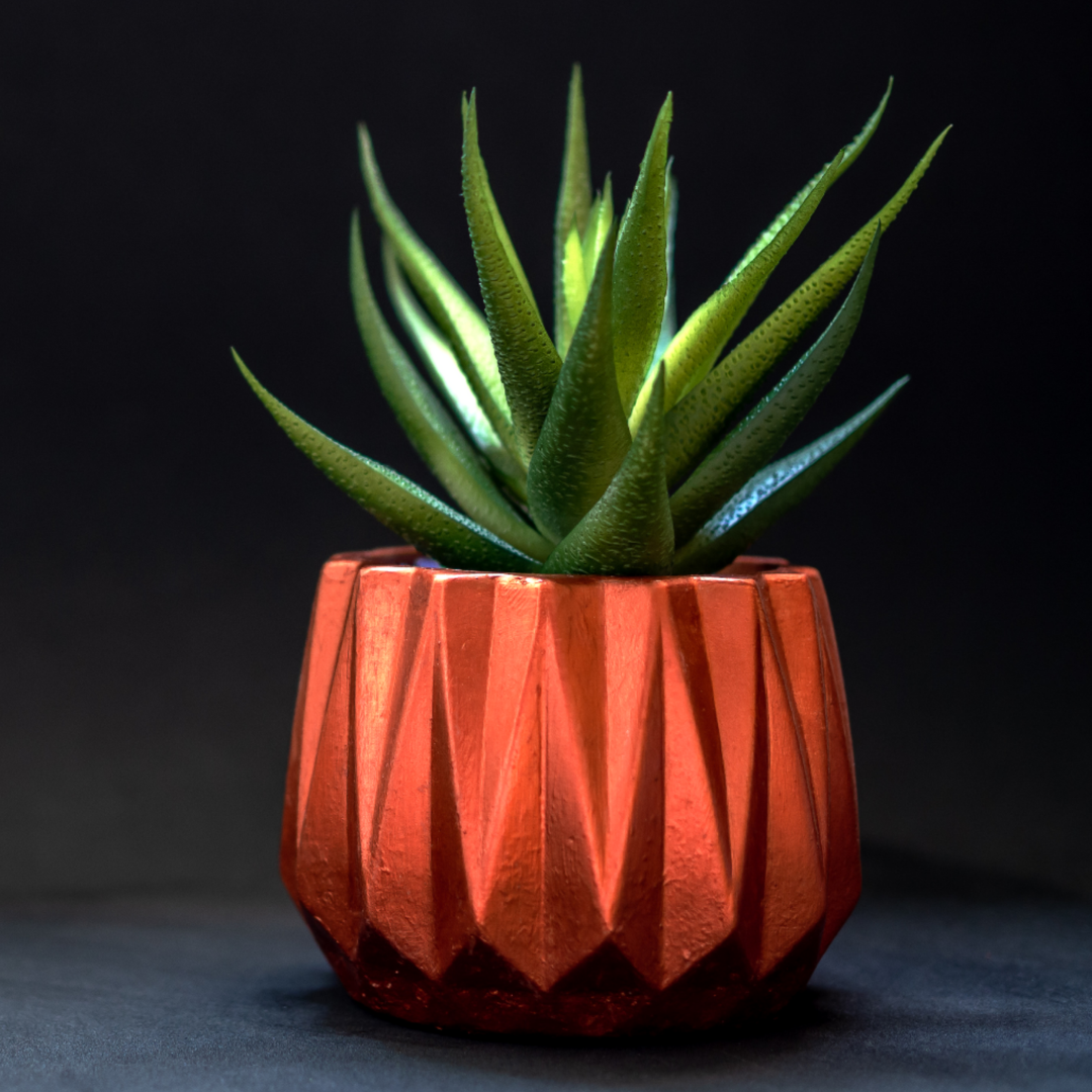 Patio and Garden Essentials