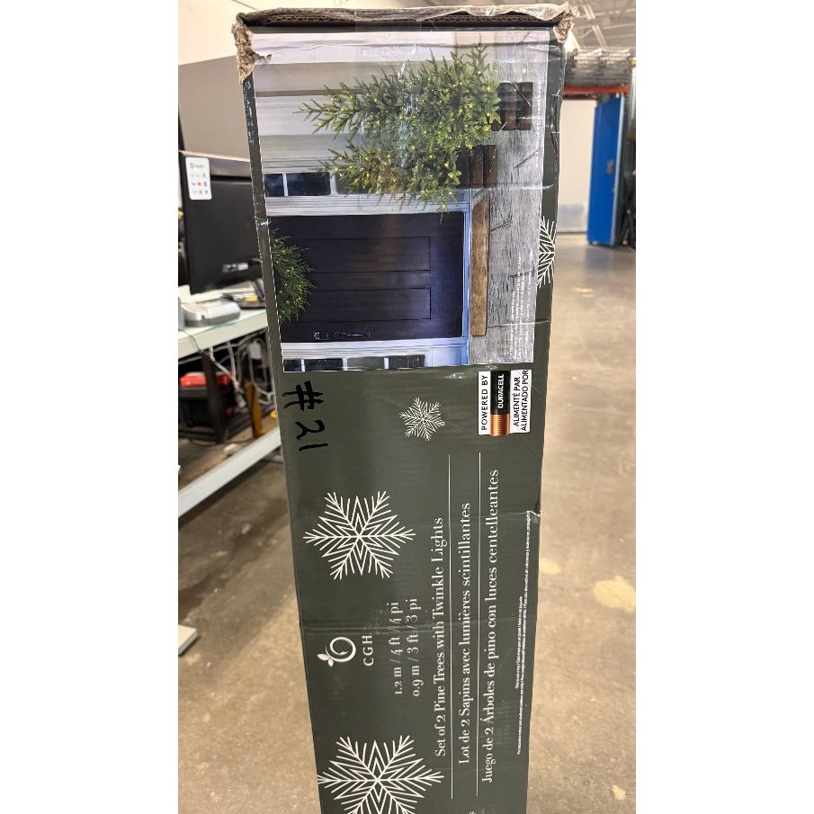 Boxed Pine Trees with Twinkle Lights