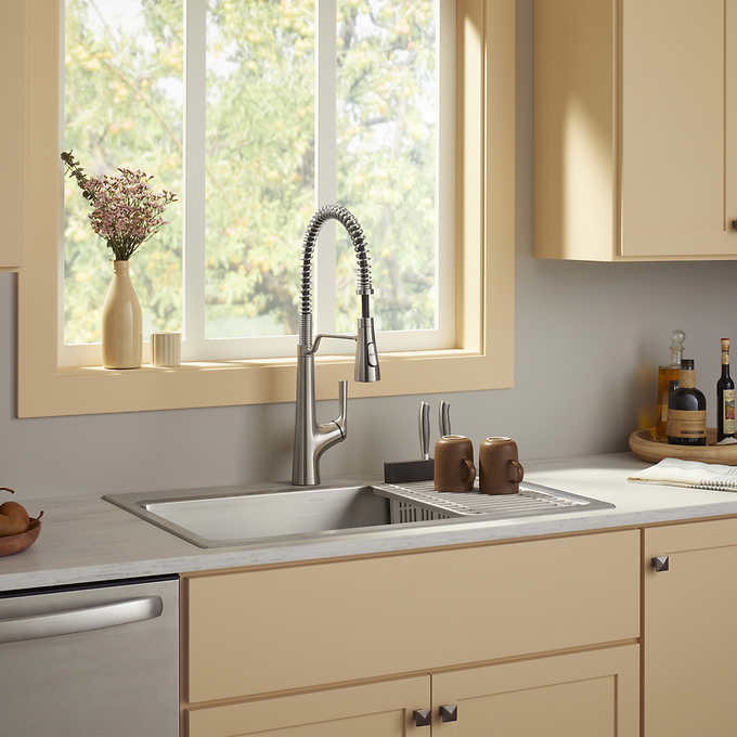 Kohler Pro-Function Kitchen Sink Kit