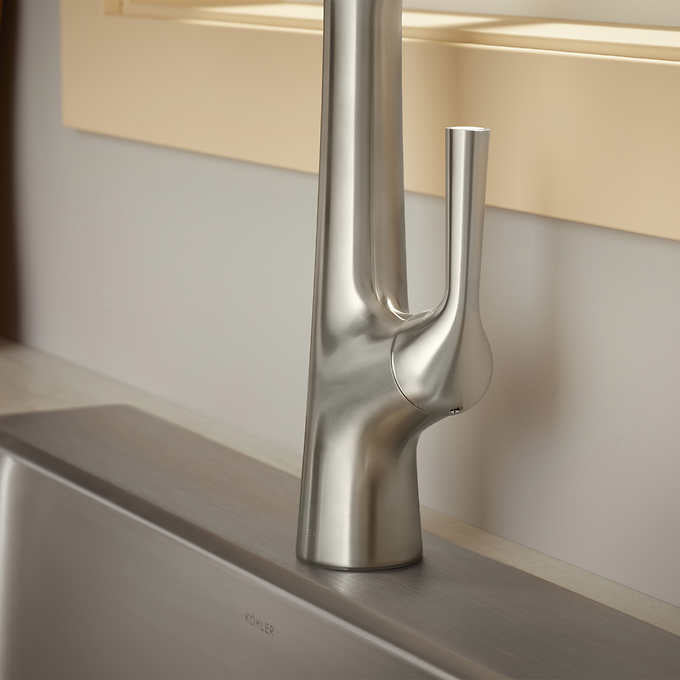 Kohler Pro-Function Kitchen Sink Kit