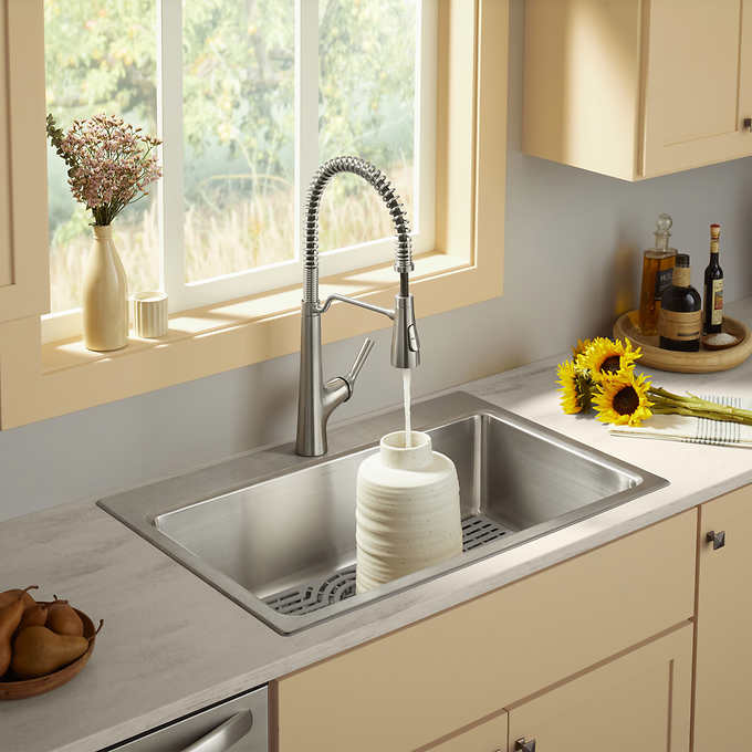 Kohler Pro-Function Kitchen Sink Kit