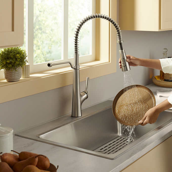 Kohler Pro-Function Kitchen Sink Kit