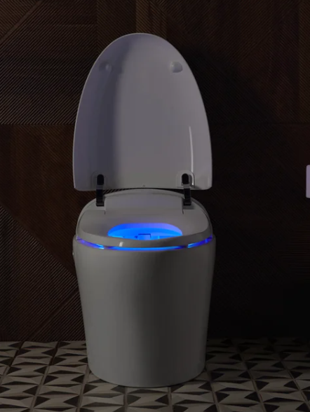 Kohler Karing 2.0 One-piece Elongated Smart Toilet
