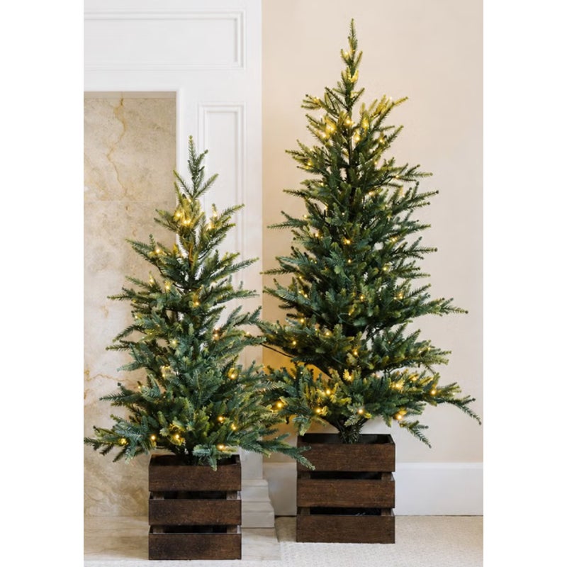 Boxed Pine Trees with Twinkle Lights