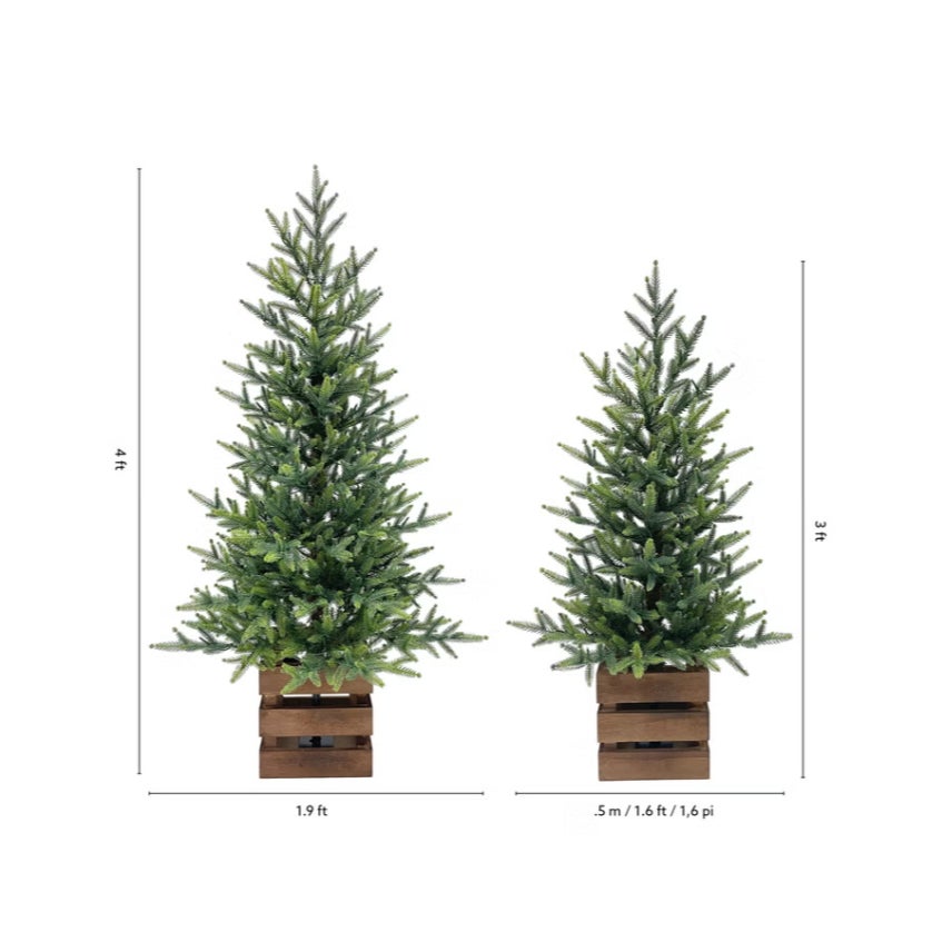 Boxed Pine Trees with Twinkle Lights