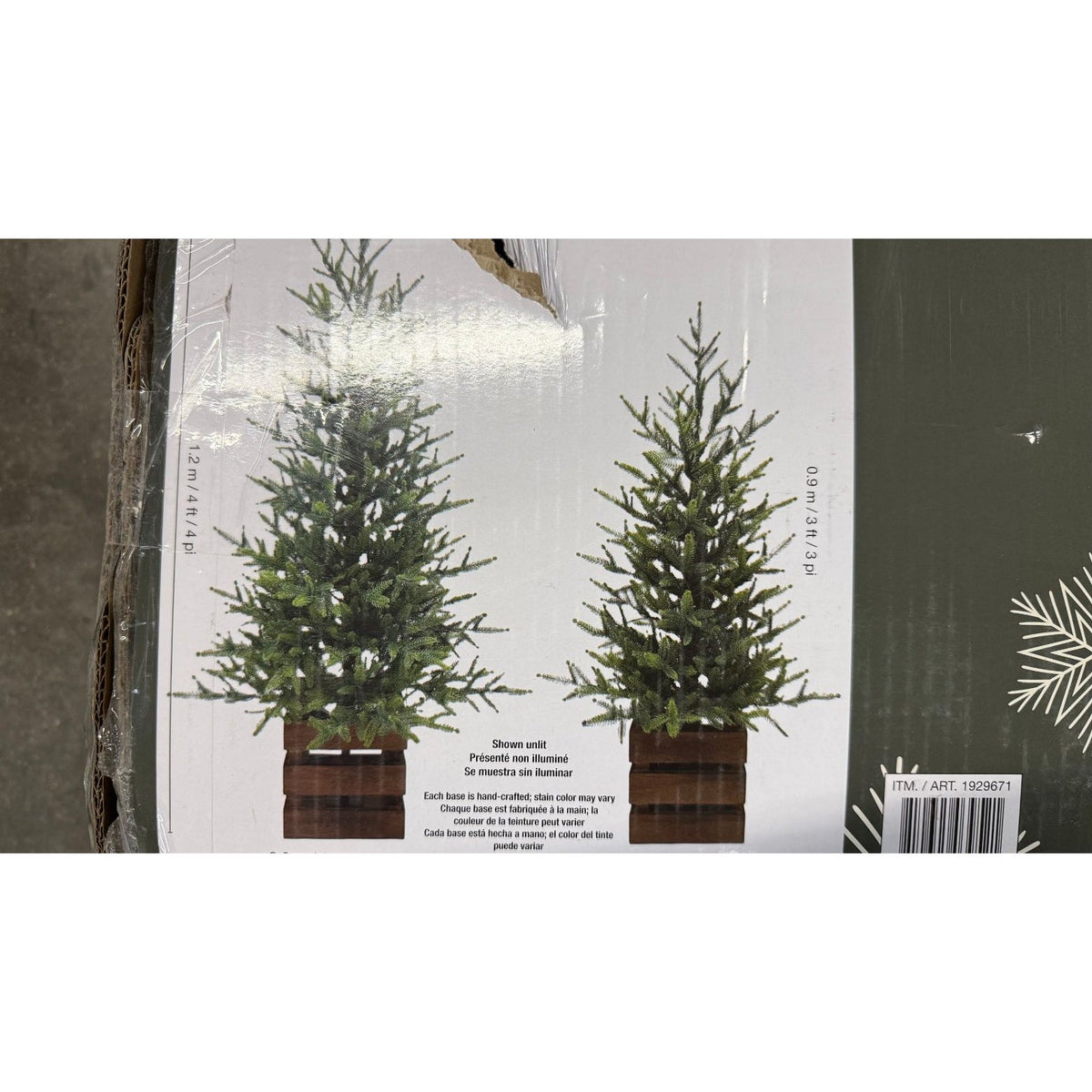 Boxed Pine Trees with Twinkle Lights
